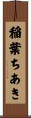 稲葉ちあき Scroll