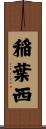 稲葉西 Scroll