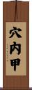 穴内甲 Scroll