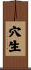 穴生 Scroll
