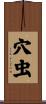 穴虫 Scroll