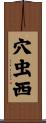 穴虫西 Scroll