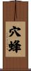 穴蜂 Scroll
