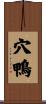 穴鴨 Scroll