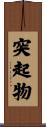 突起物 Scroll