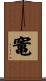 竃 Scroll