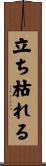 立ち枯れる Scroll