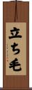 立ち毛 Scroll