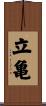 立亀 Scroll