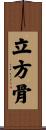 立方骨 Scroll