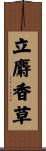 立麝香草 Scroll