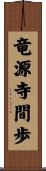 竜源寺間歩 Scroll