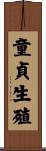 童貞生殖 Scroll