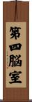 第四脳室 Scroll