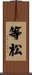 等松 Scroll