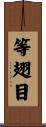 等翅目 Scroll