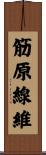 筋原線維 Scroll