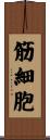 筋細胞 Scroll