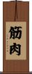 筋肉 Scroll