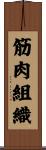 筋肉組織 Scroll