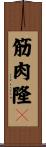 筋肉隆々 Scroll
