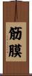 筋膜 Scroll
