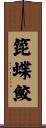 箆蝶鮫 Scroll