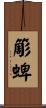 簓蜱 Scroll