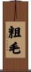 粗毛 Scroll