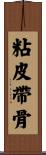 粘皮帶骨 Scroll