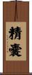 精嚢 Scroll