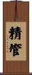 精管 Scroll