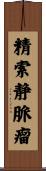 精索静脈瘤 Scroll