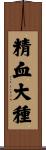 精血大種 Scroll