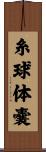 糸球体嚢 Scroll