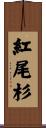 紅尾杉 Scroll