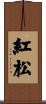 紅松 Scroll