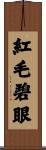 紅毛碧眼 Scroll