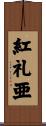 紅礼亜 Scroll