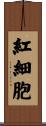 紅細胞 Scroll