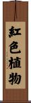 紅色植物 Scroll