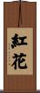 紅花 Scroll