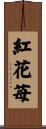 紅花苺 Scroll