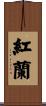紅蘭 Scroll