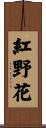紅野花 Scroll