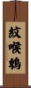 紋喉鵯 Scroll