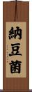 納豆菌 Scroll