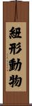 紐形動物 Scroll