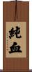 純血 Scroll