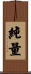純量 Scroll